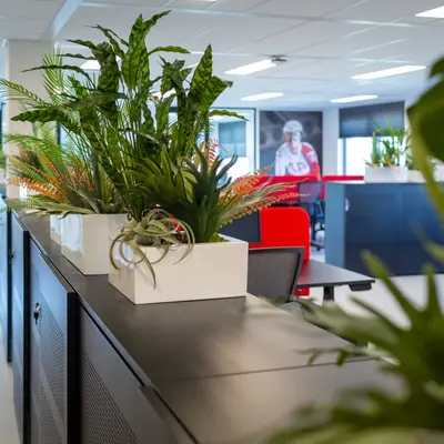 AP Support - Afbeelding 10