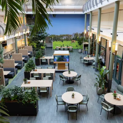 De Zellingen - Afbeelding 5