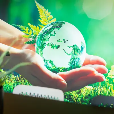 Emerson - Afbeelding 5