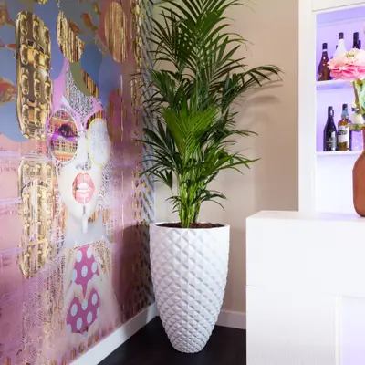 Fier Willem II Skybox - Afbeelding 2