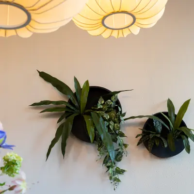 Zegestede - Afbeelding 3