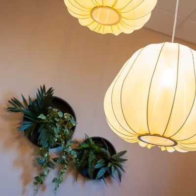 Zegestede - Afbeelding 8